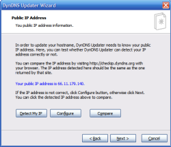 Public IP address information of DynDNS Update wizard.