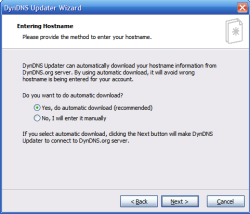 The program can download your hostname from DynDNS.org server
